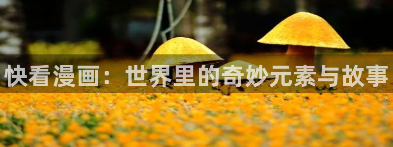 漫画之家网页版登录入口