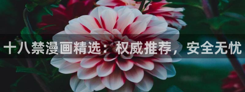 漫画之家怎么看漫画全集