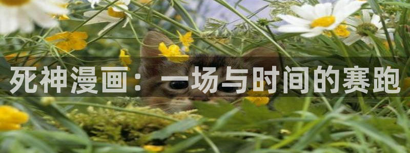 漫画之家下载