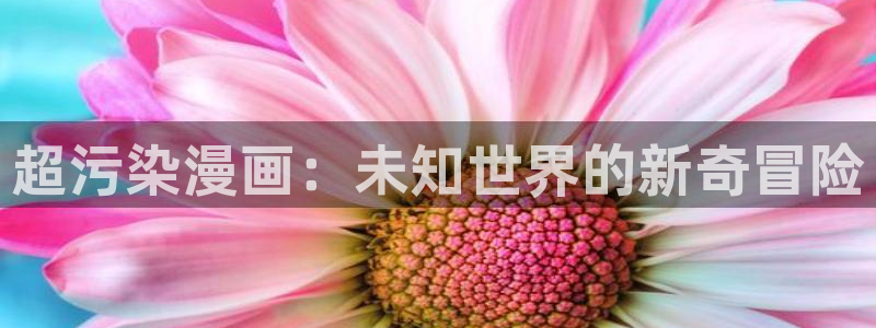 大妈漫画之家