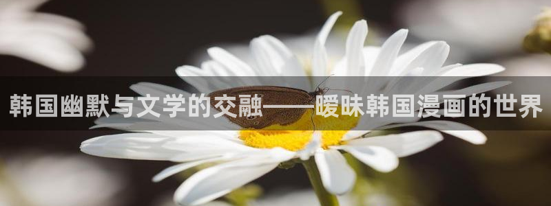 韩漫漫画之家