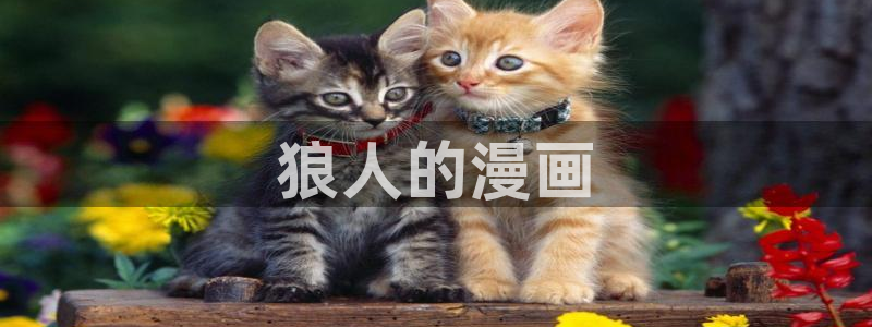 漫画之家福利漫画