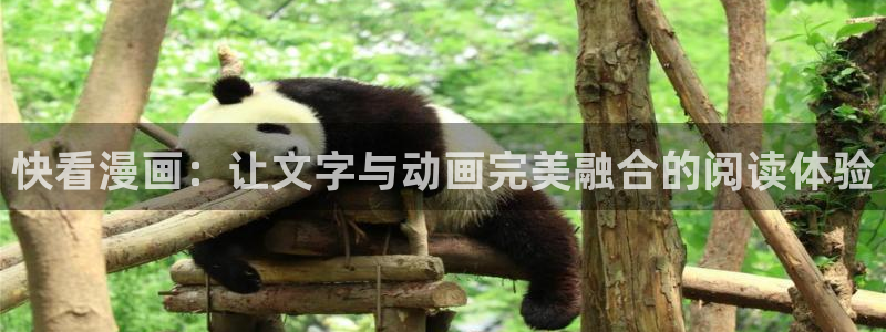 漫画之家官网漫画之家阅读