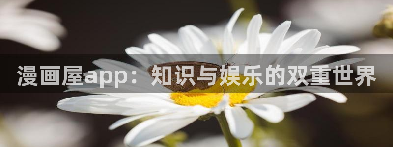 漫画之家app安装：漫画屋app：知识与娱乐的双重世界